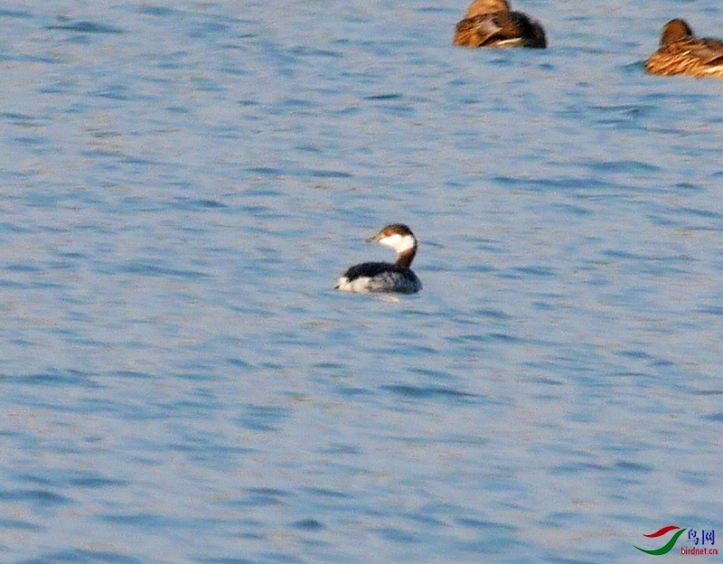 P5770868 - ����.JPG