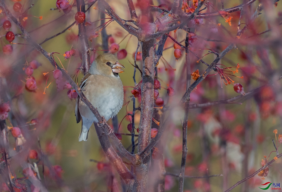 DSC_6320_��ͼ��_����.jpg