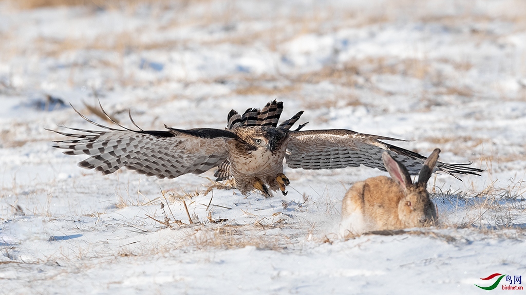 DSC_2421_DxOa.jpg