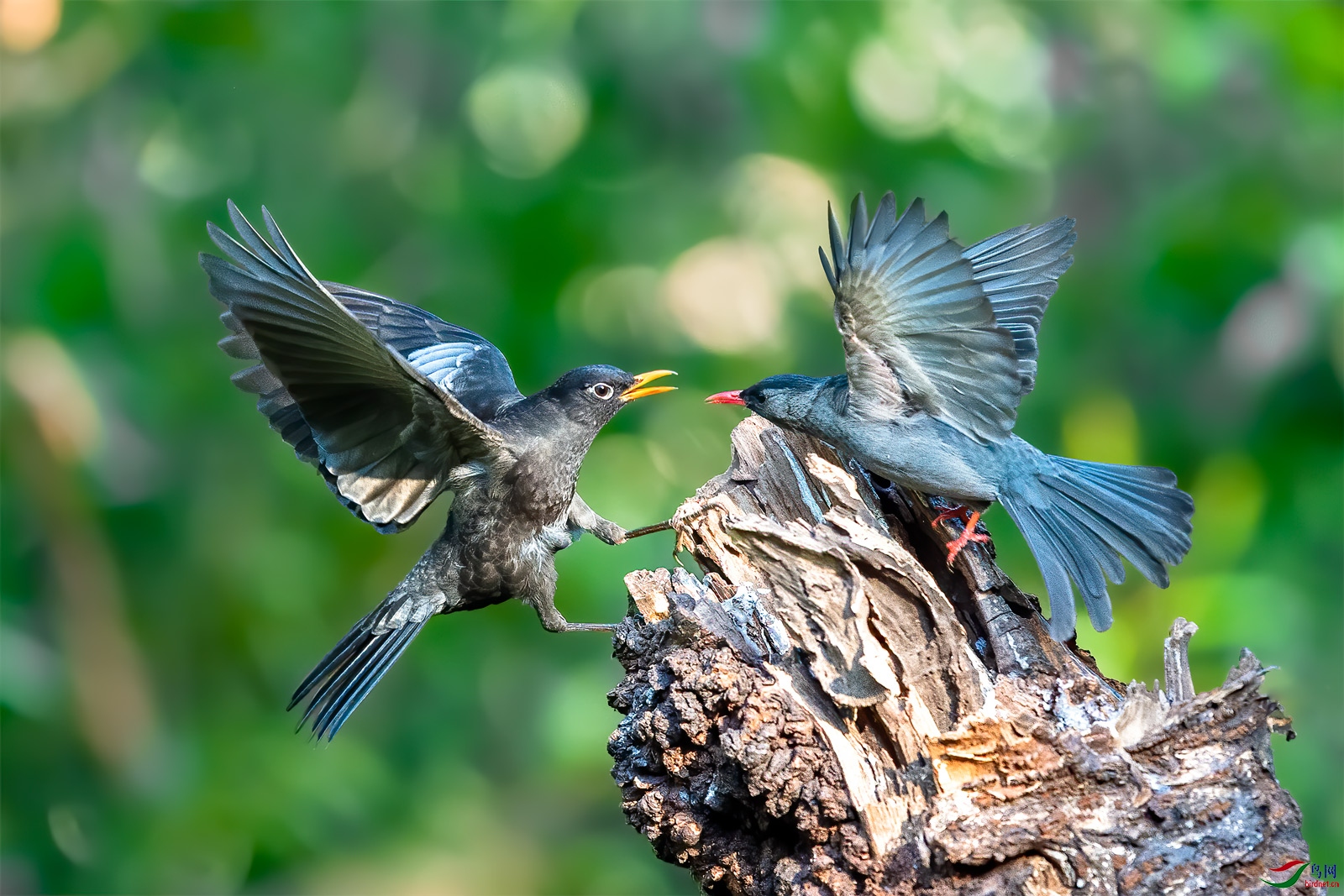 _DSC0362-1-����.jpg