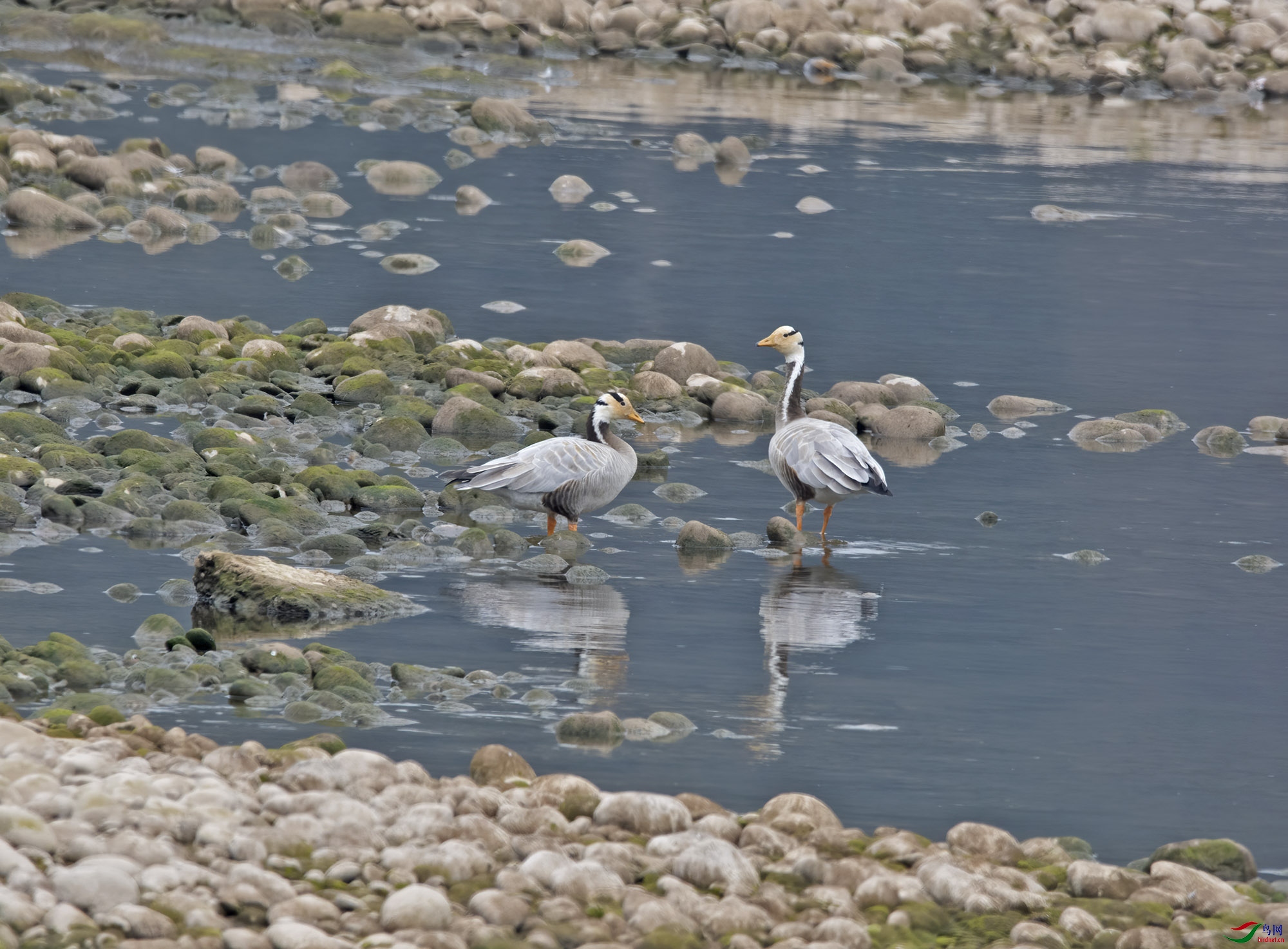 DSC_8248.jpg