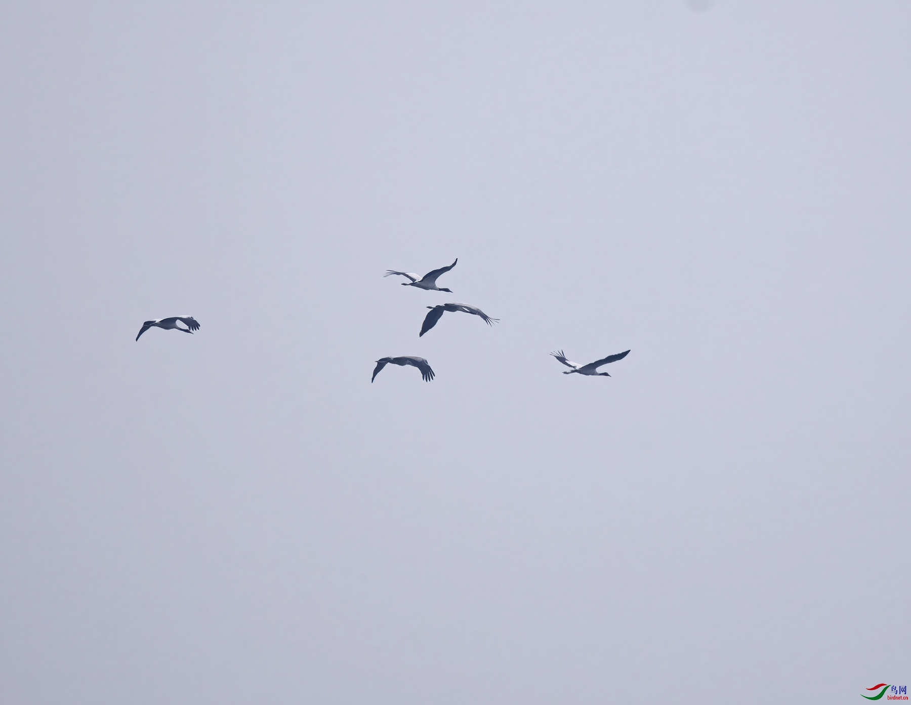 DSC_8493.jpg