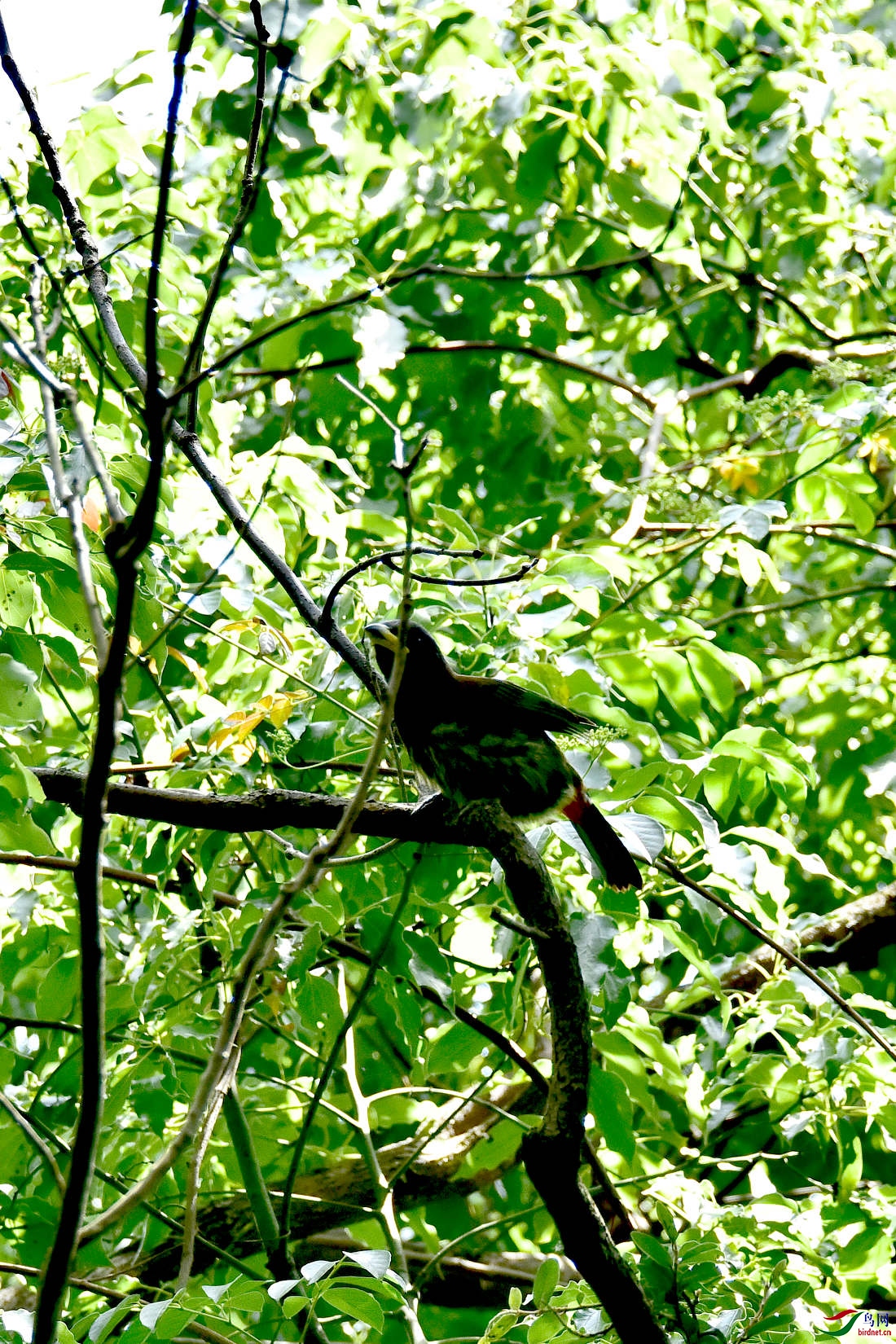 DSC_0311.JPG