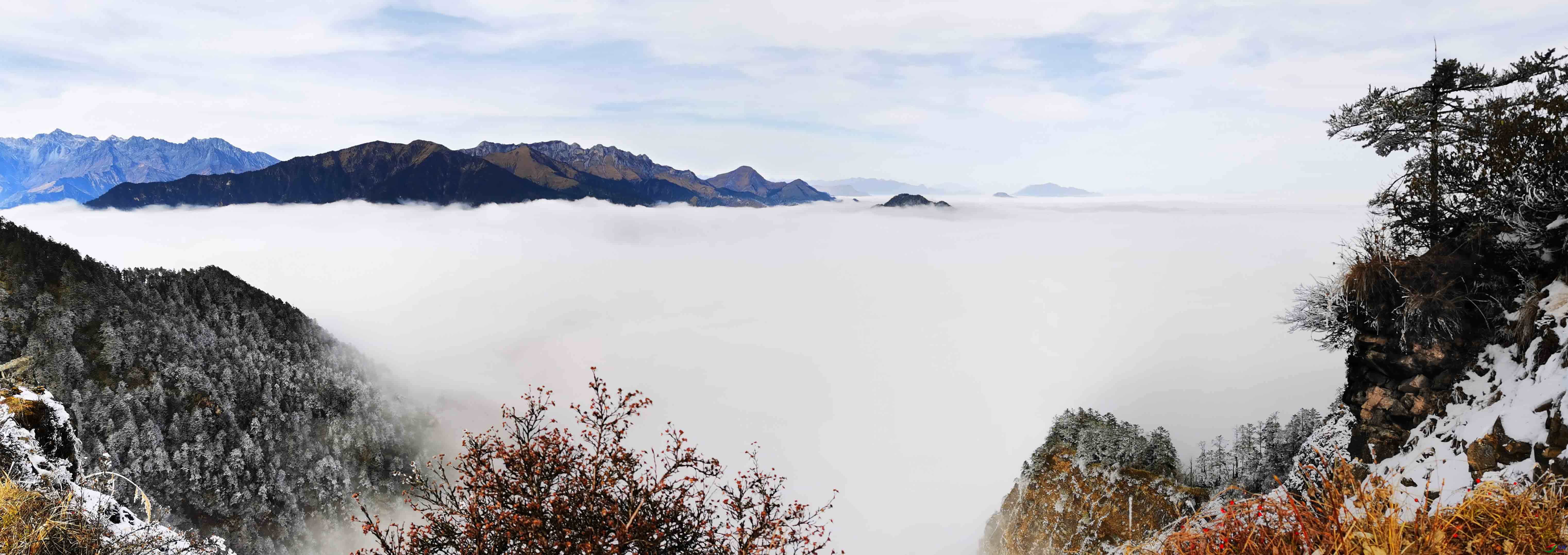 窗含西岭千秋雪的画面图片