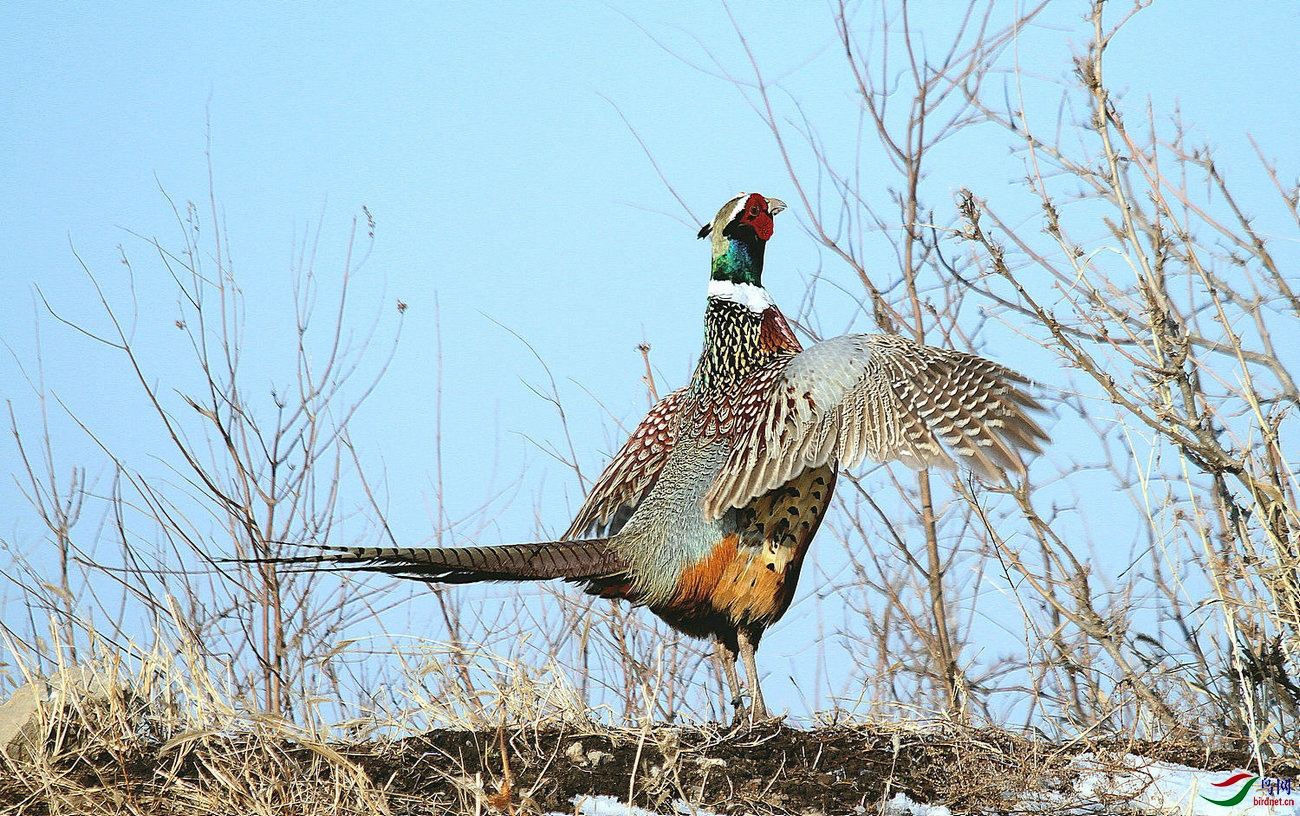 06 - 309 ����.jpg