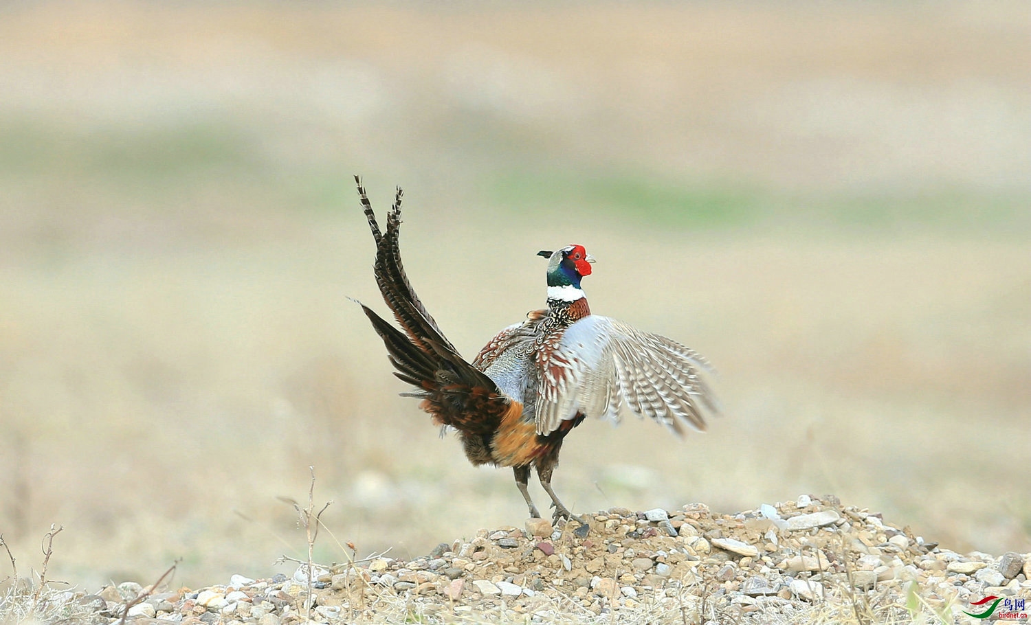 05  269 ̨��.jpg