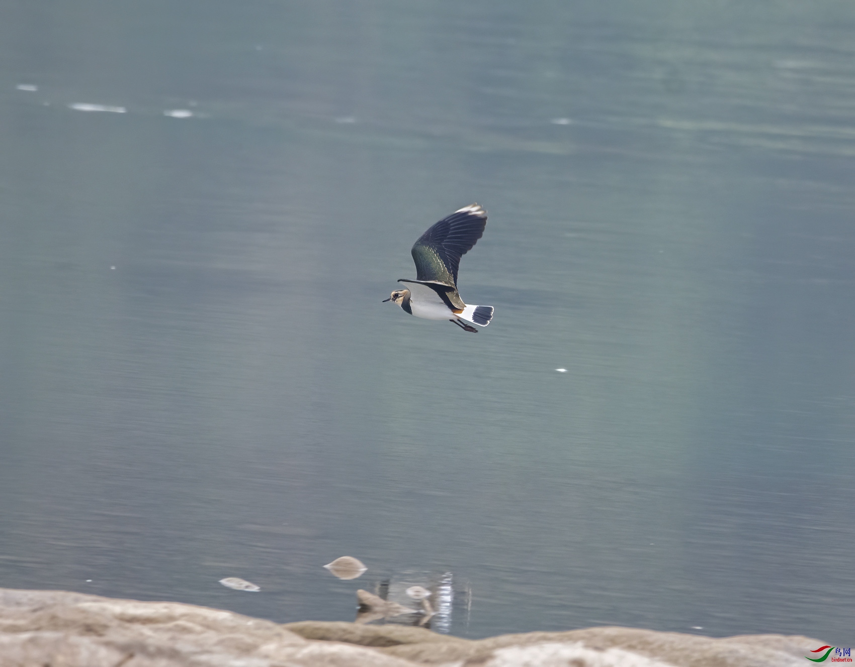 DSC_8078.jpg