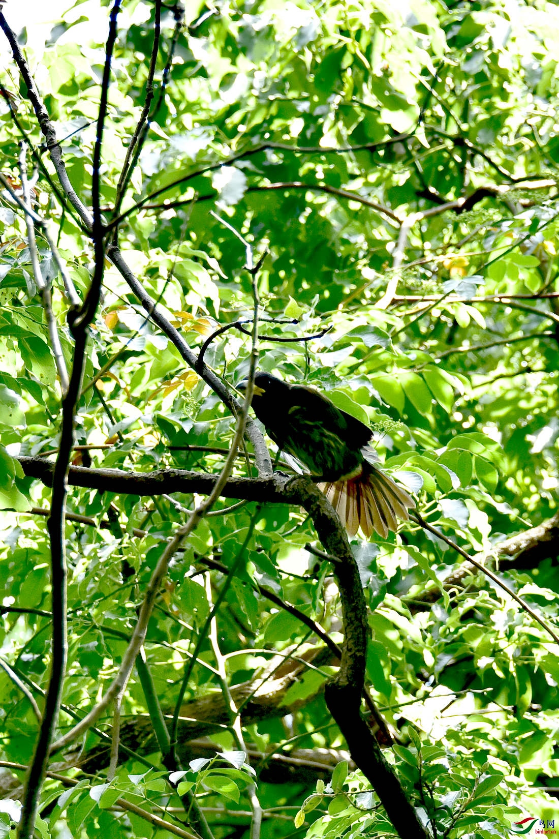 DSC_0316.JPG