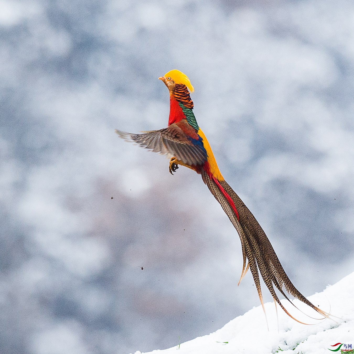 XCG_3254 - ����.jpg