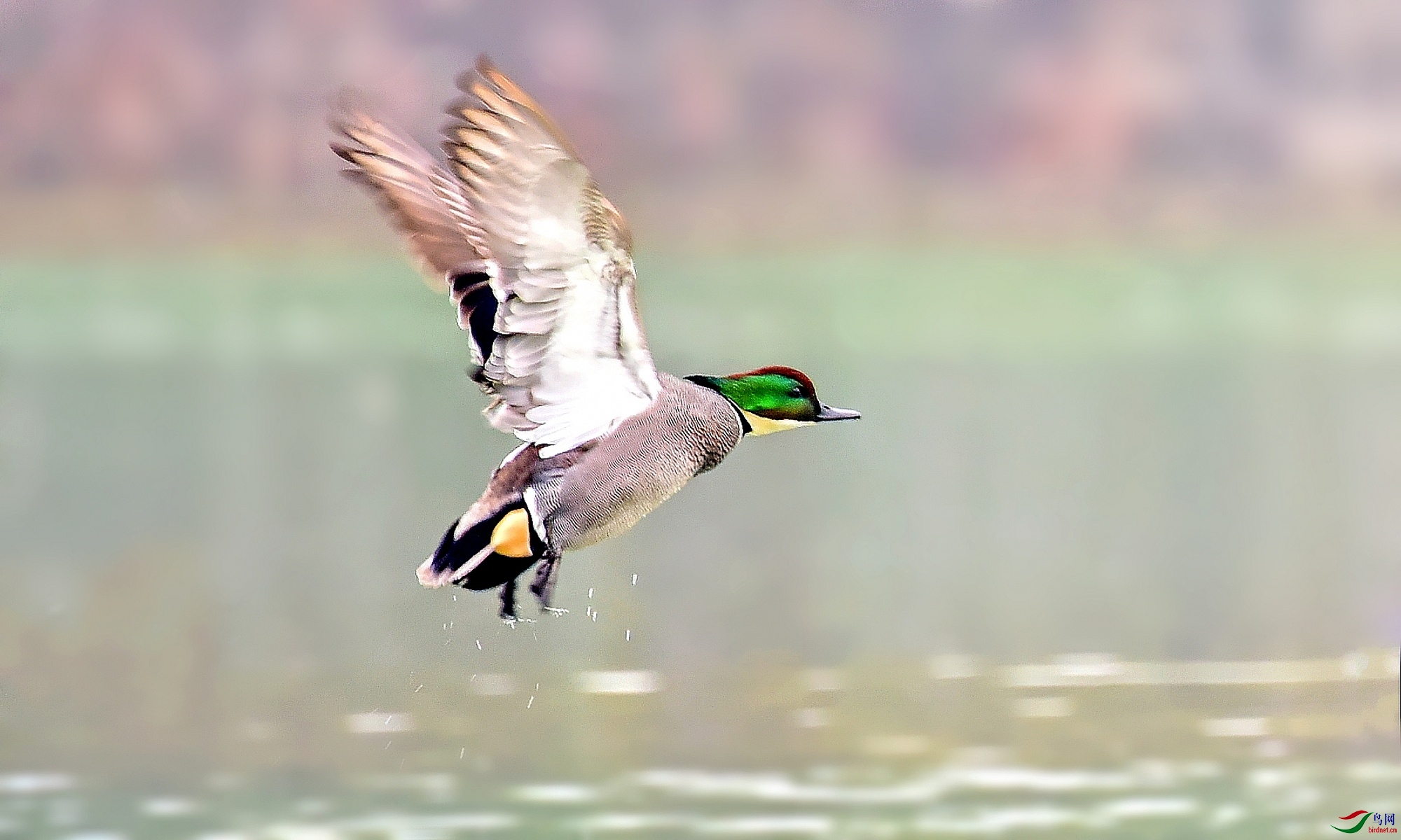 DSC_0825_conew4.jpg