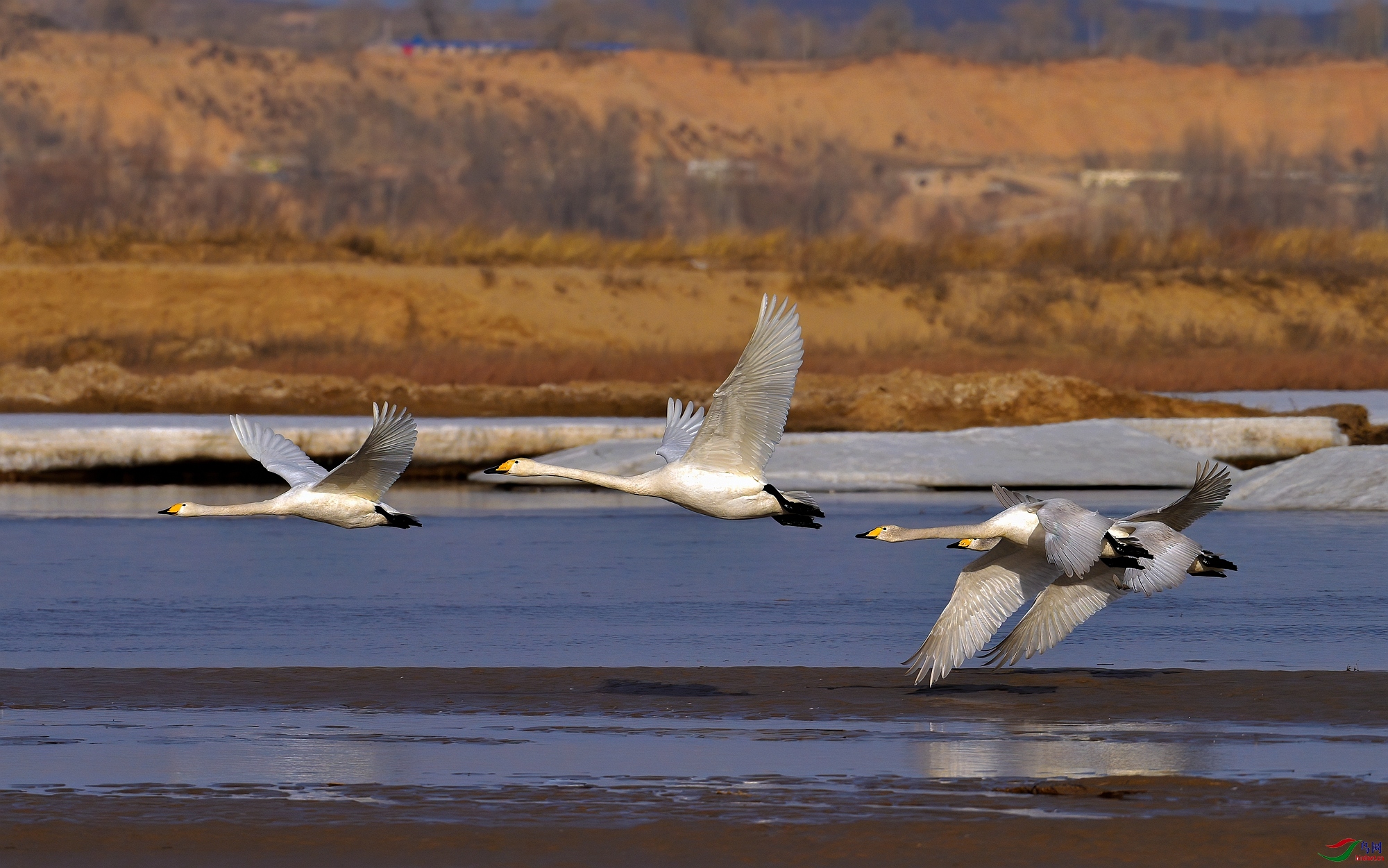 DSC_3279.jpg