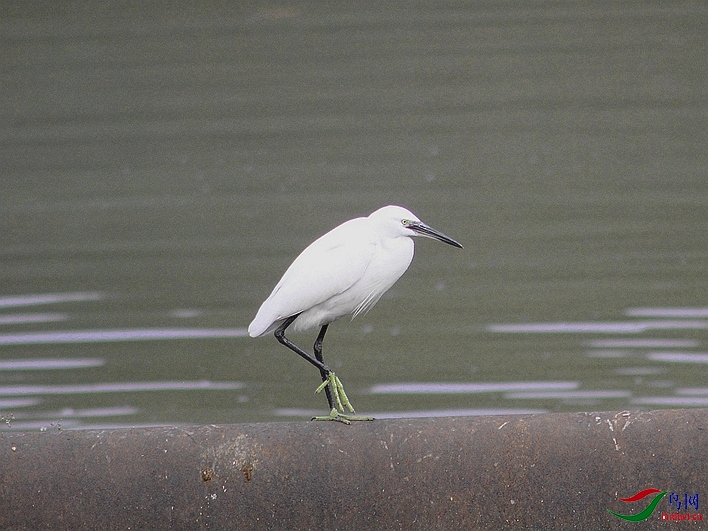 IMG_0008.jpg