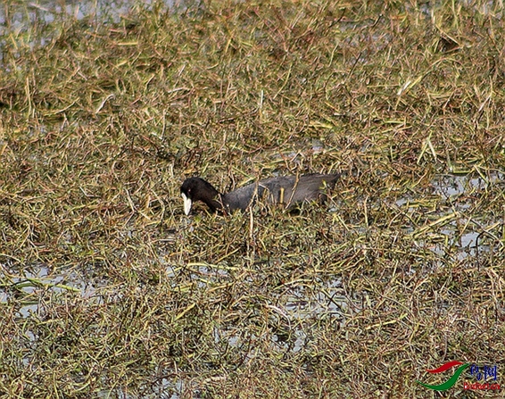 IMG_0148.jpg
