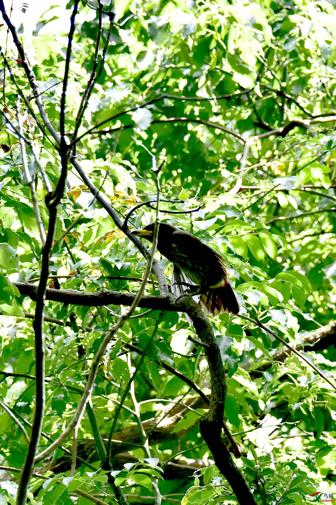 DSC_0319.JPG