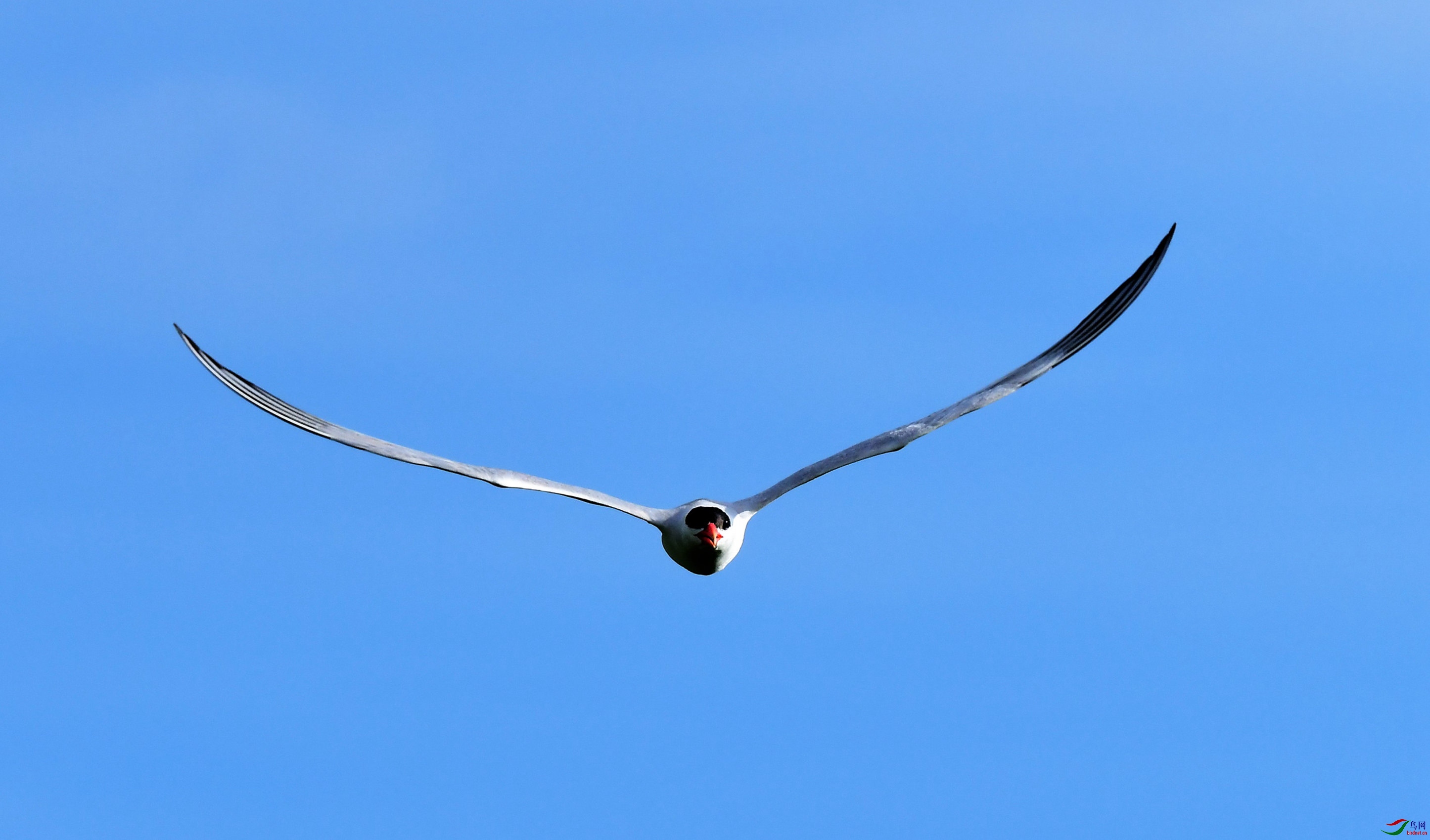 �������Ÿ ��ʲ���������ŵ����ڸ�ŵ���� (1).JPG