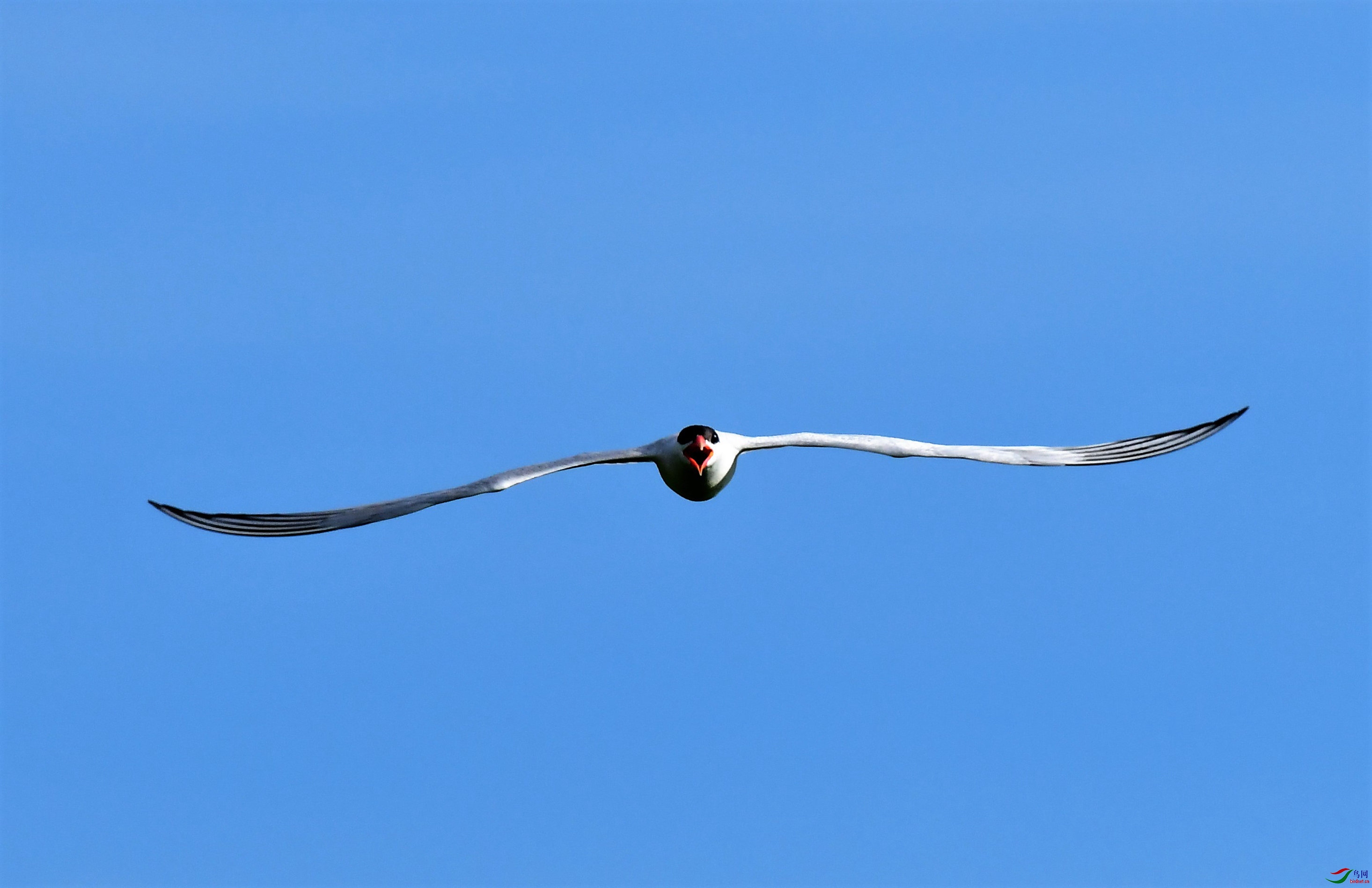 �������Ÿ ��ʲ���������ŵ����ڸ�ŵ���� (2).JPG