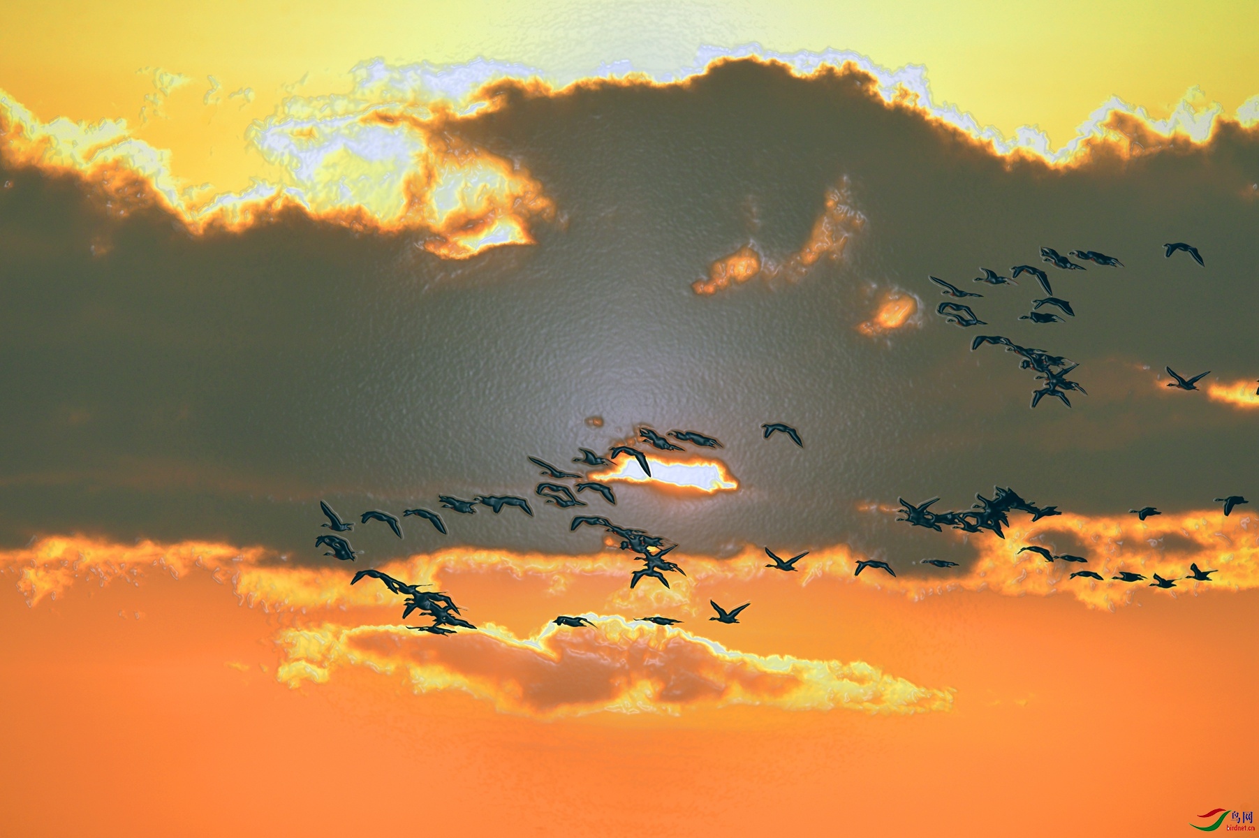 LYK_4514 ����_����.jpg