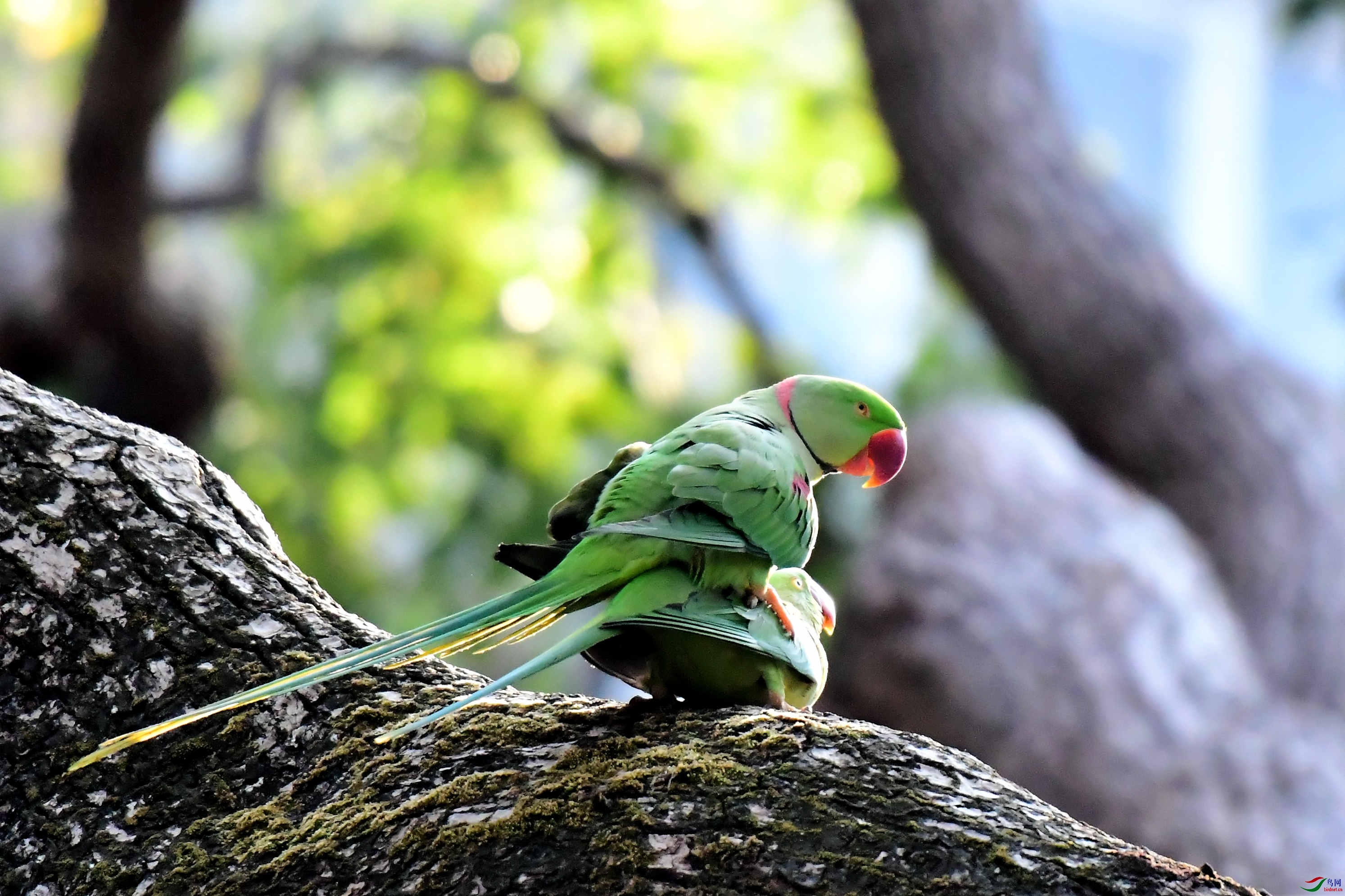 ��������۾�����԰�ĺ���������  (2).JPG