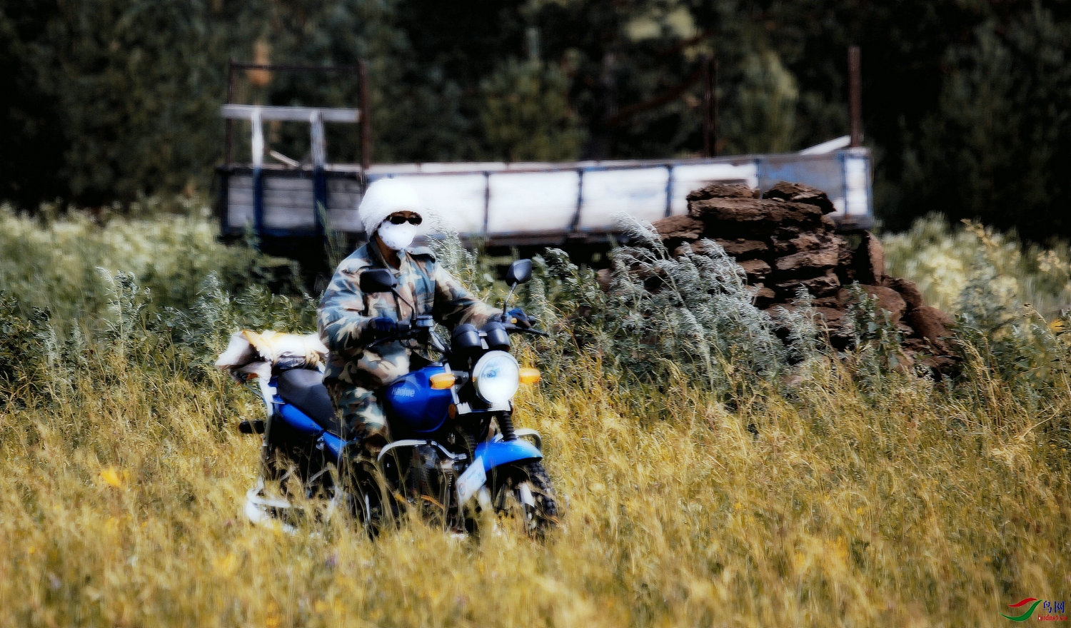 ��ԭŮ���� 1.jpg