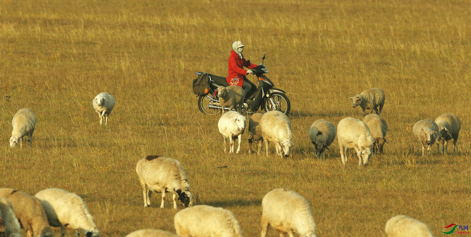 ��ʲ���ڲ�ԭŮ���� =.jpg