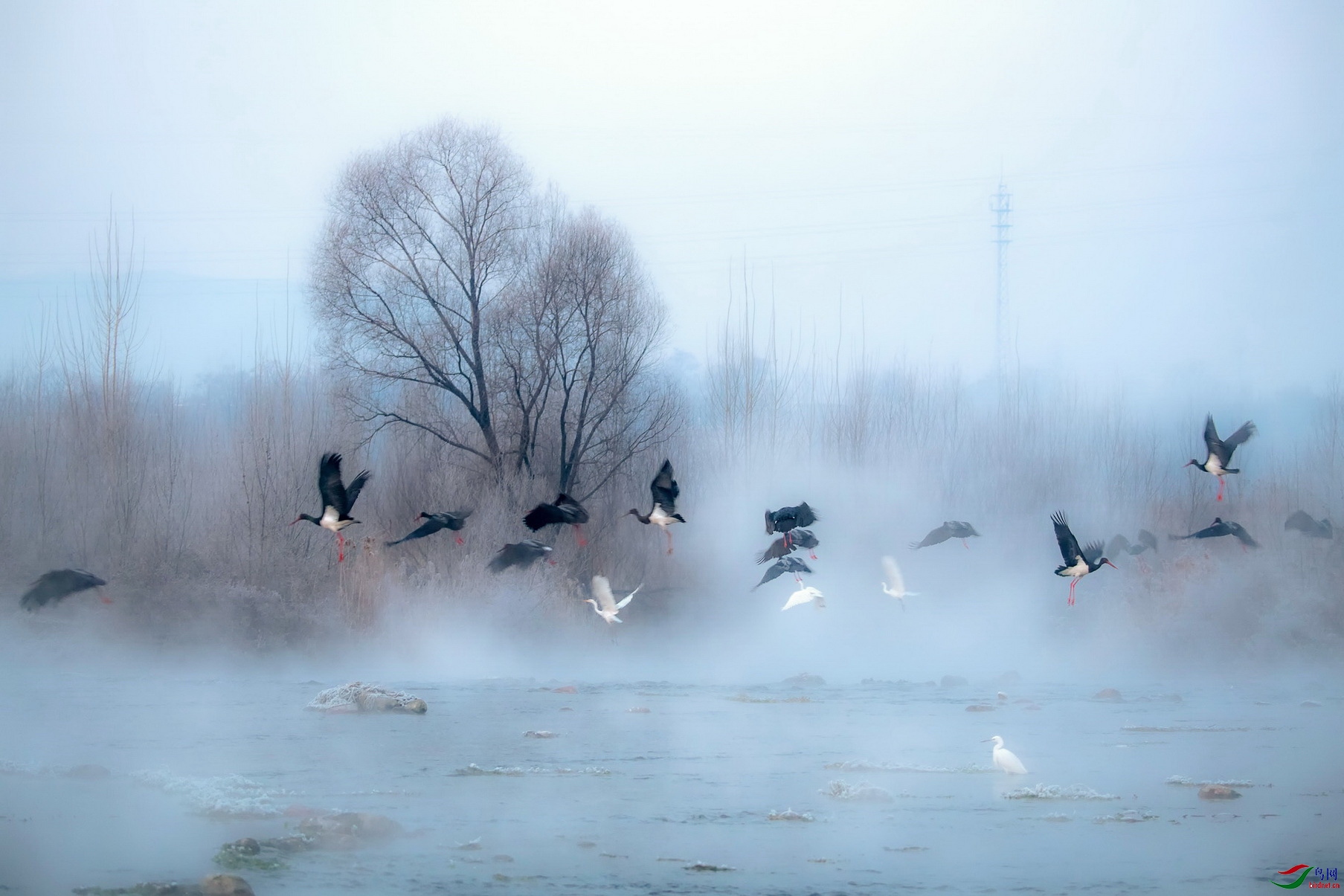 DSC_7141F01.jpg