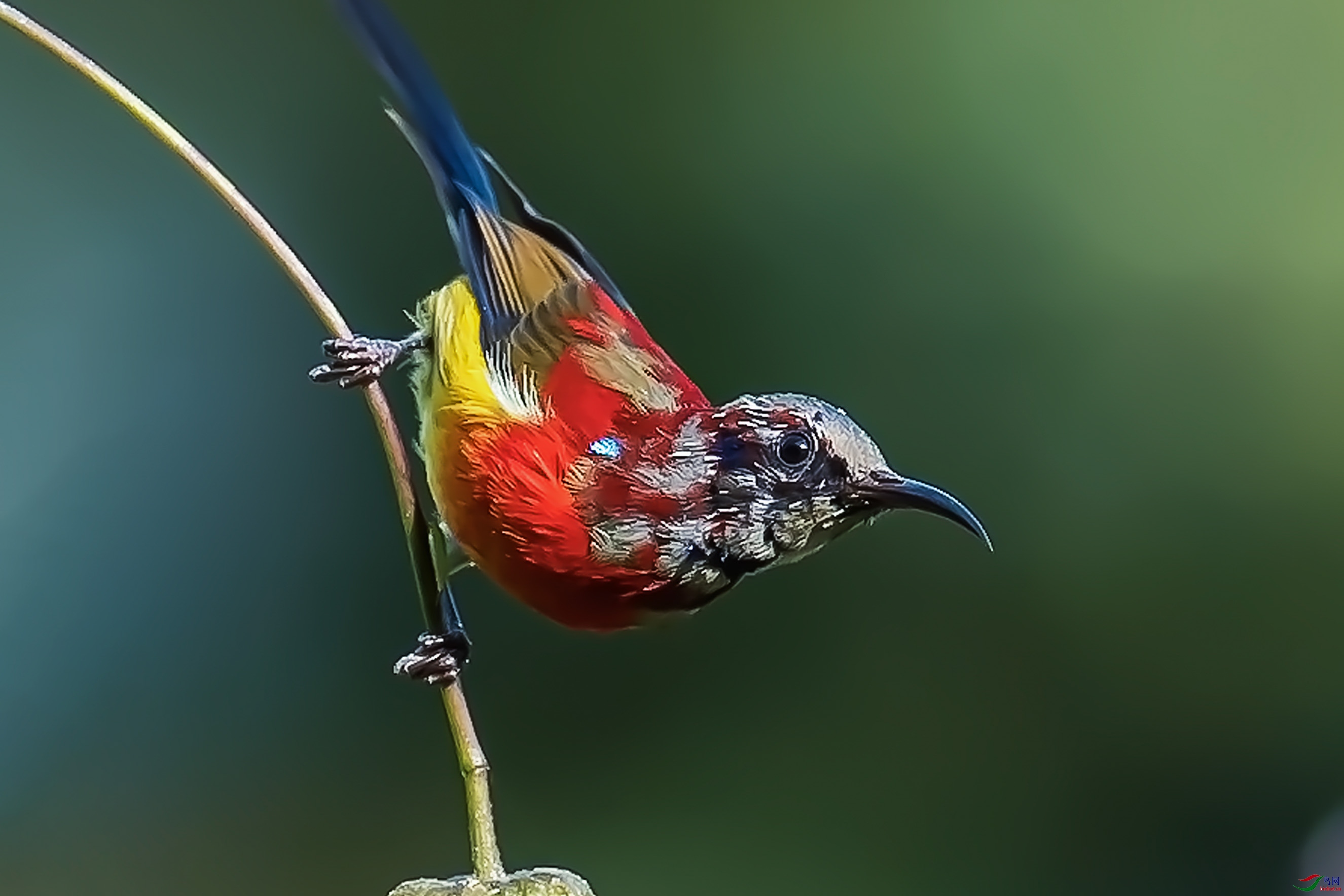 ���������ϰٻ��롣