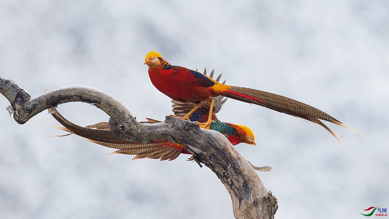 XCG_1304 - ����.jpg