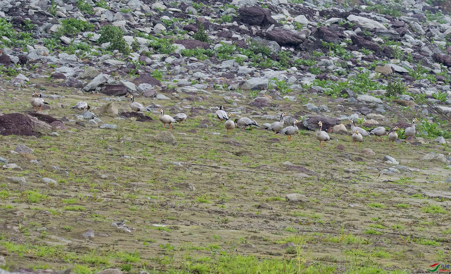 ȫ���Ա(�����գ�