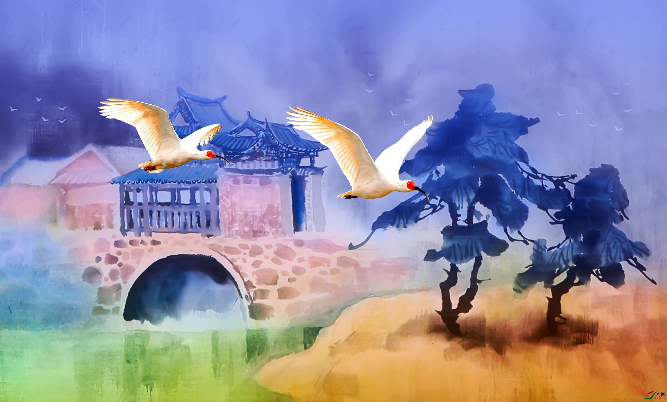 1 (1)-�ָ���.jpg