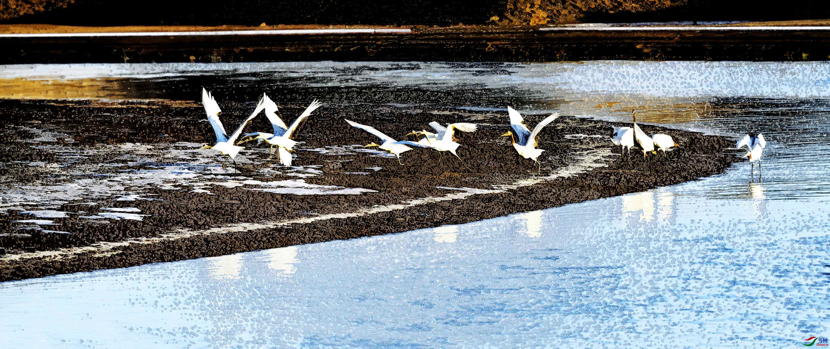 IYK_6697_���� ����_����.jpg