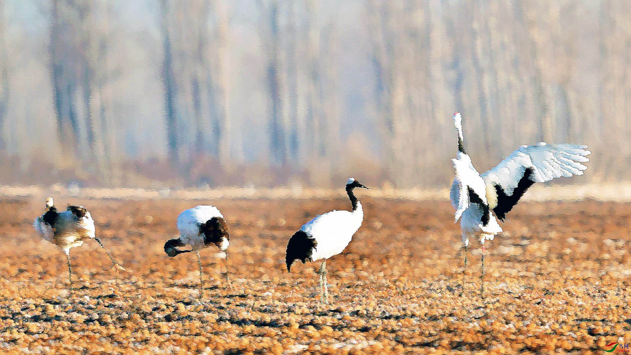 IYK_8656 ����_����_����.jpg