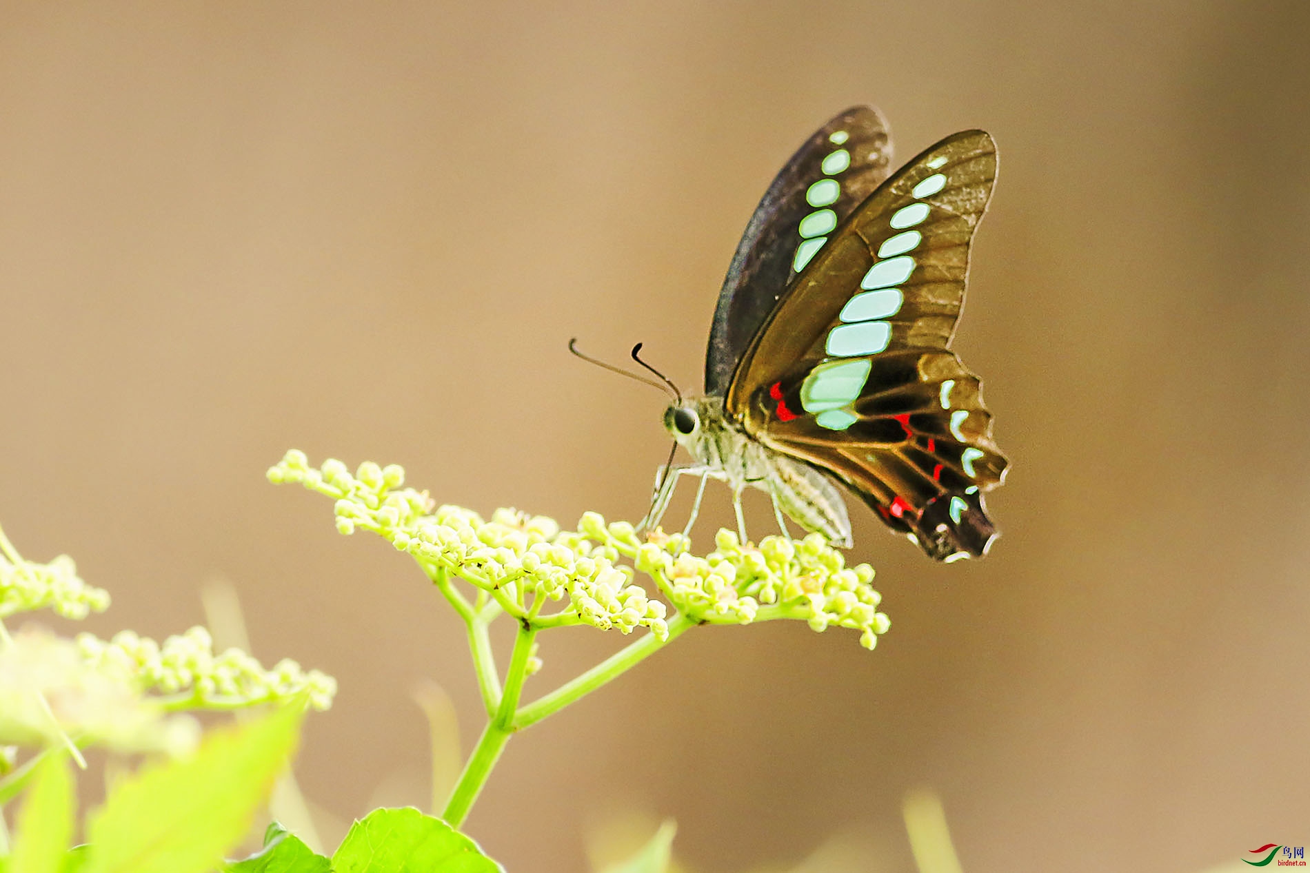 3D1A8957m.jpg