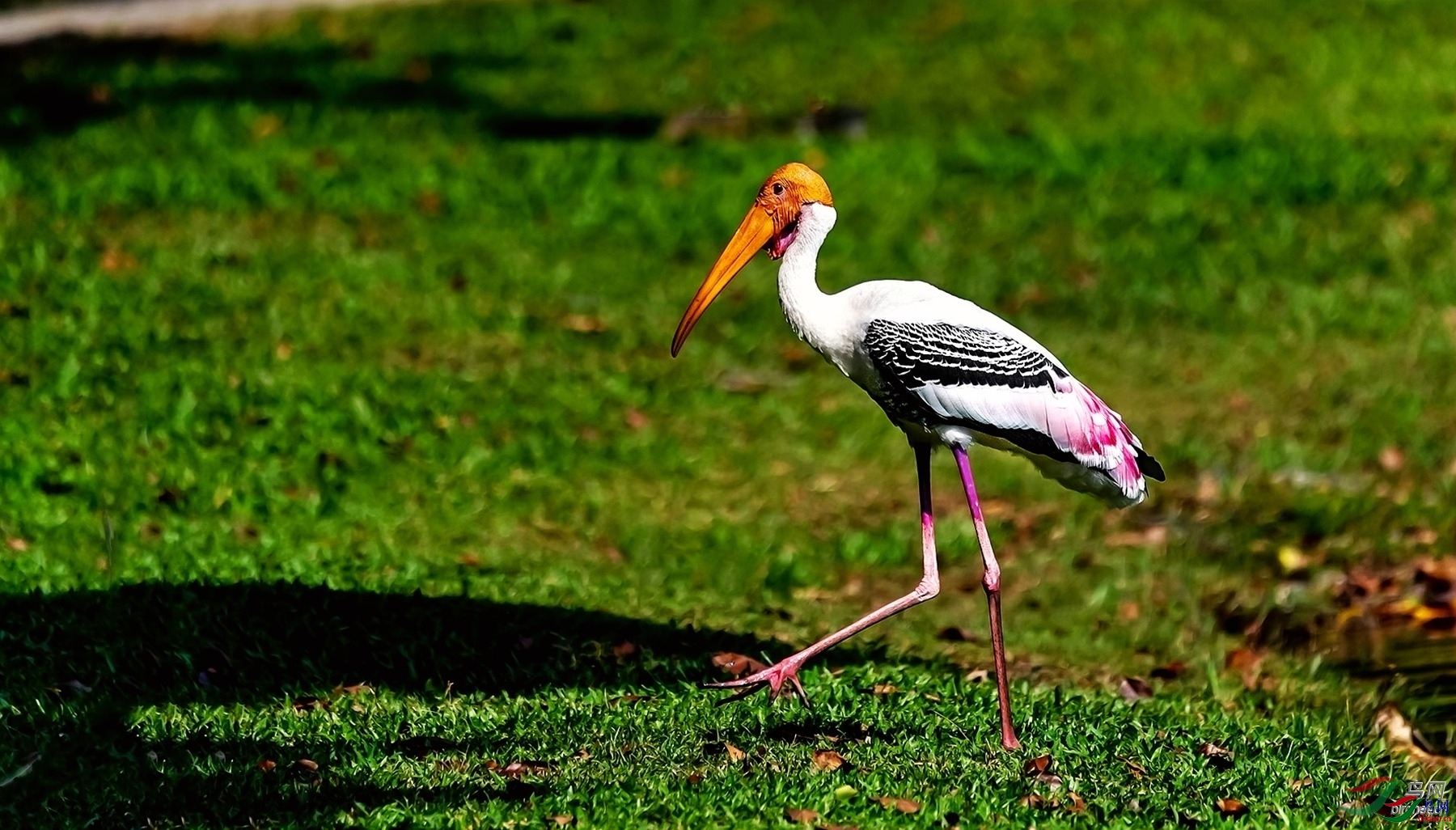 СС�ո�  ��ʦ��������������.jpg