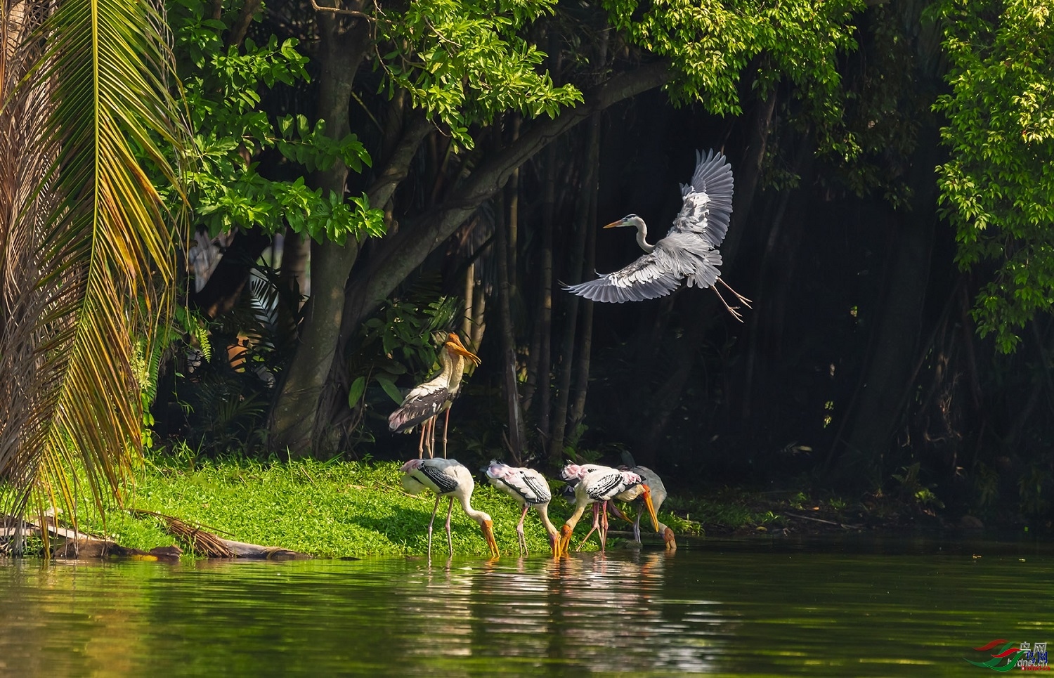 СС�ո�  ��ʦ��������������20.jpg