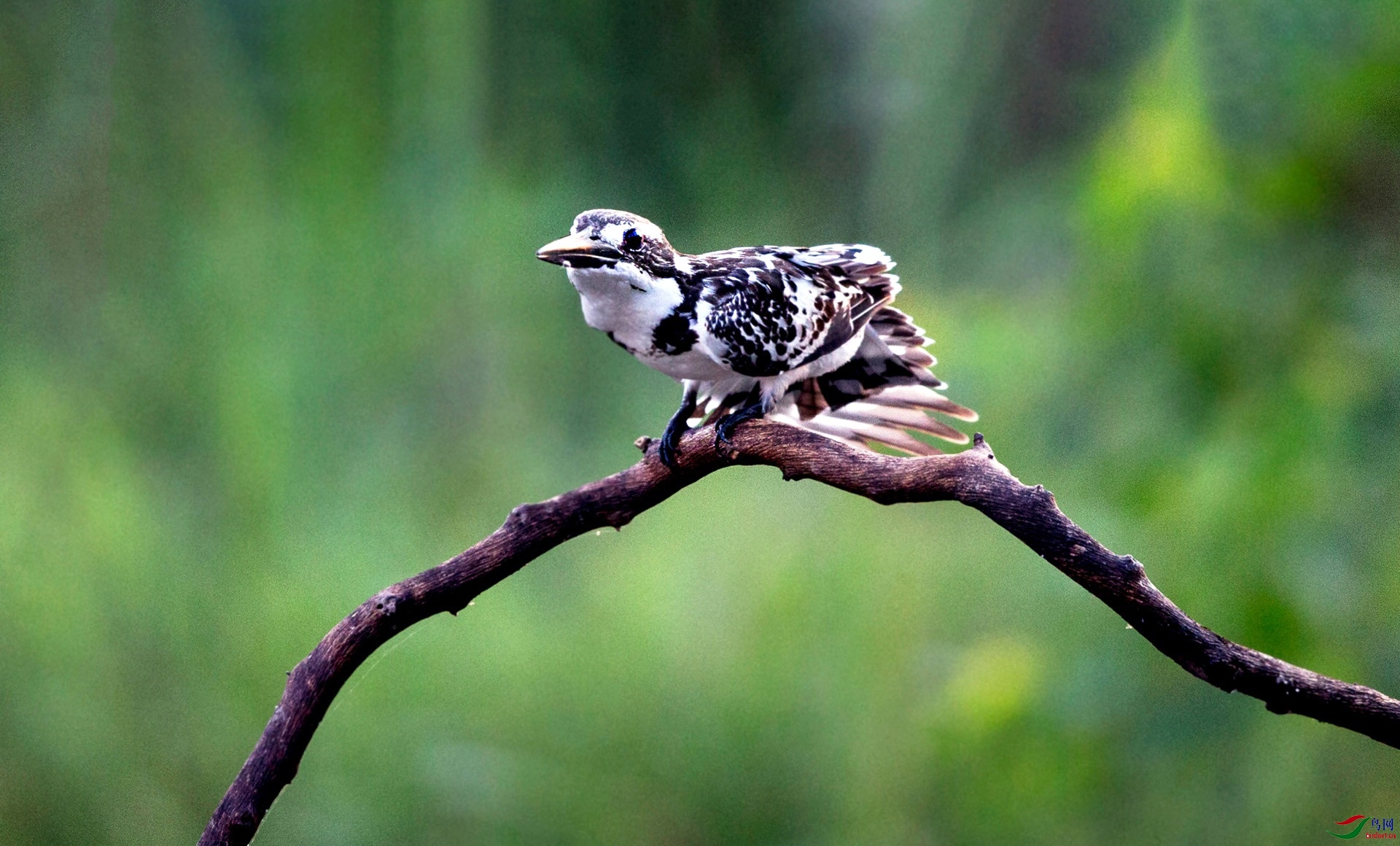 BW4Q7209 (2) - ����.jpg