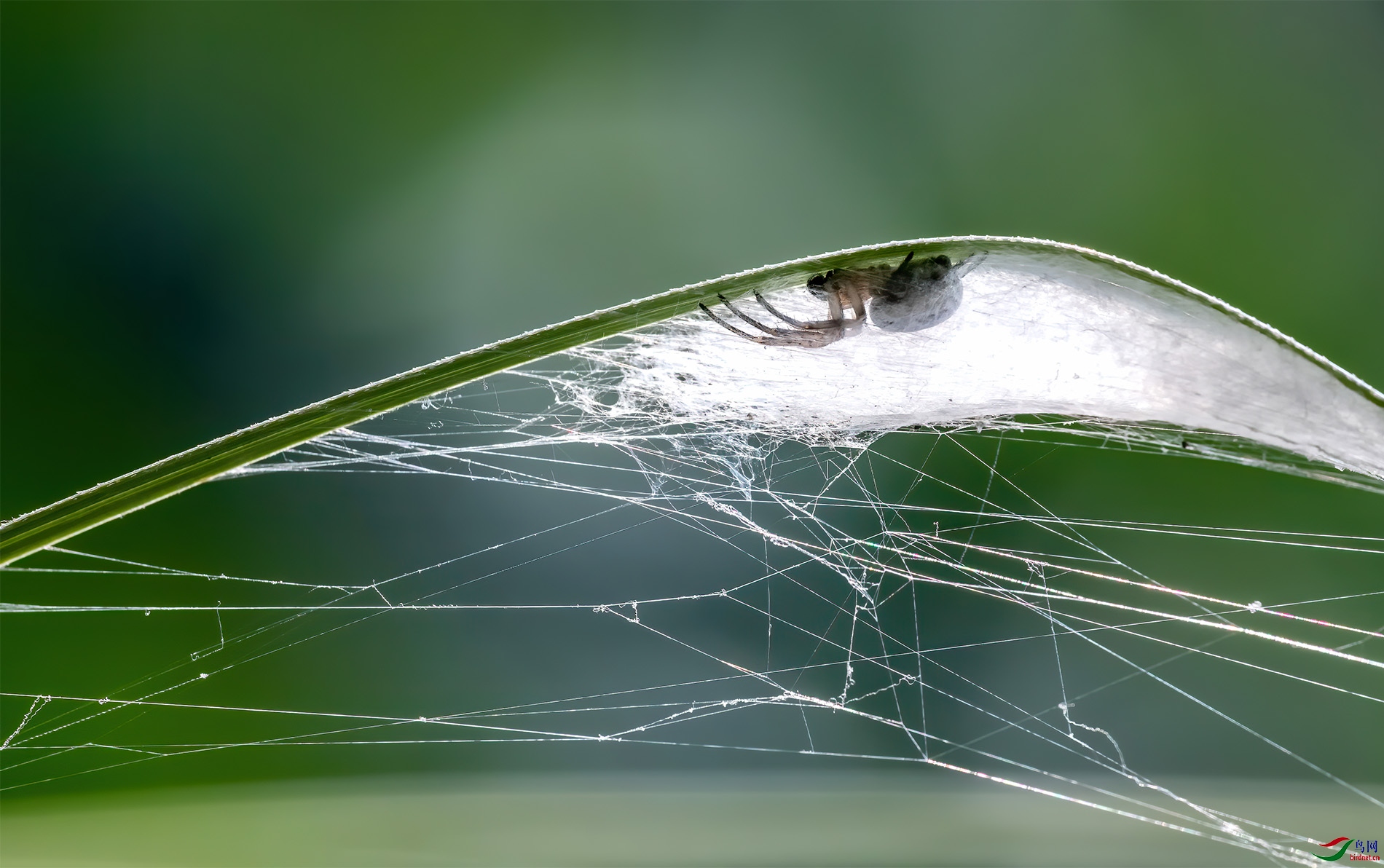 ����֮��