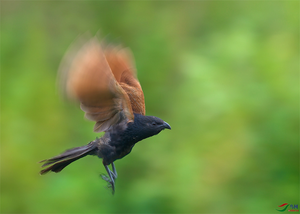 DSC_9127 ����-111.jpg