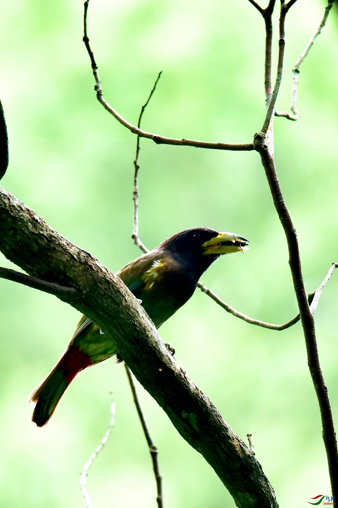 DSC_0357.JPG