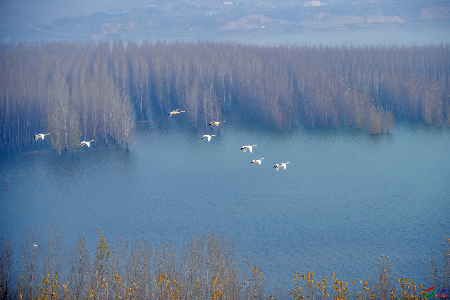 DSC_6635AF01.jpg