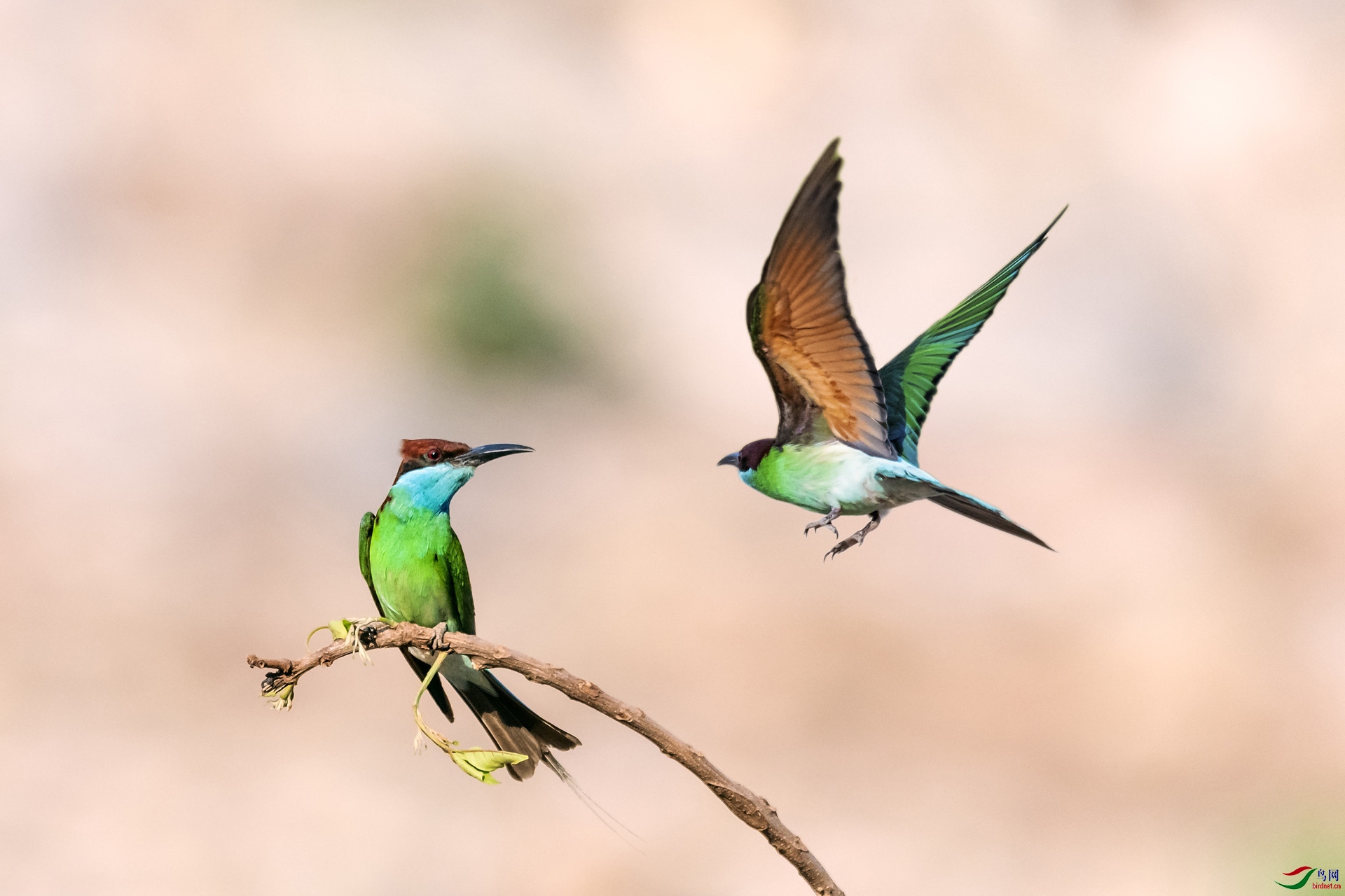 ��_AUU2122.2058������ �������飨20.5.24��-1.jpg