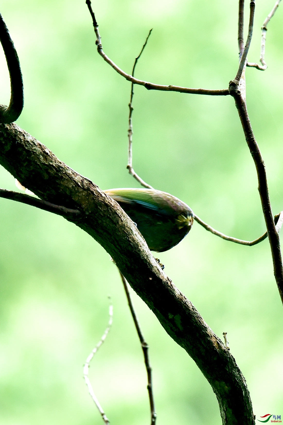 DSC_0366.JPG
