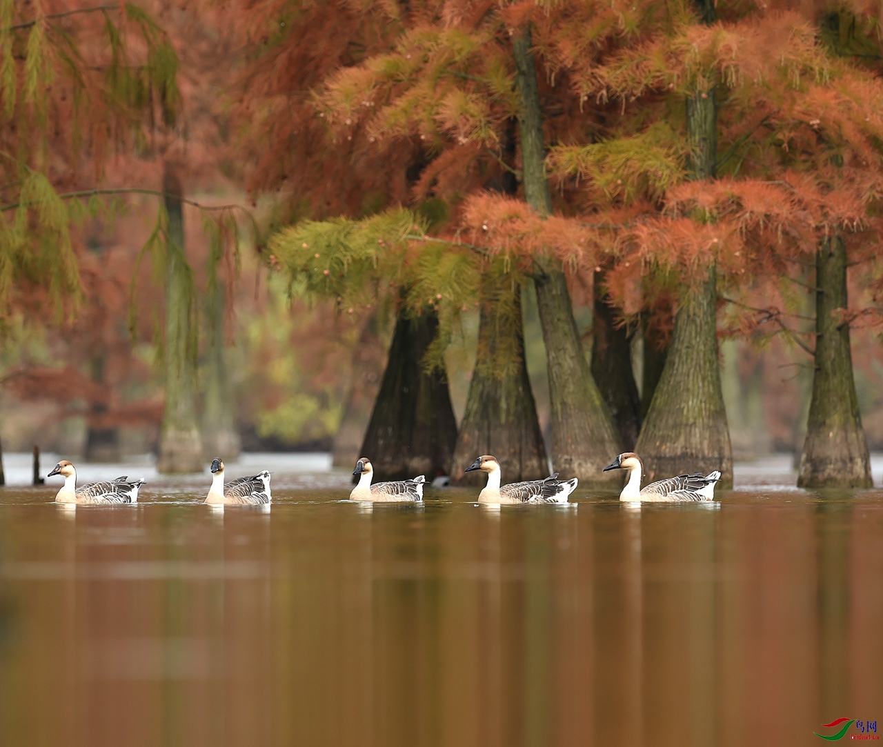 DSC_4624-0-0.jpg