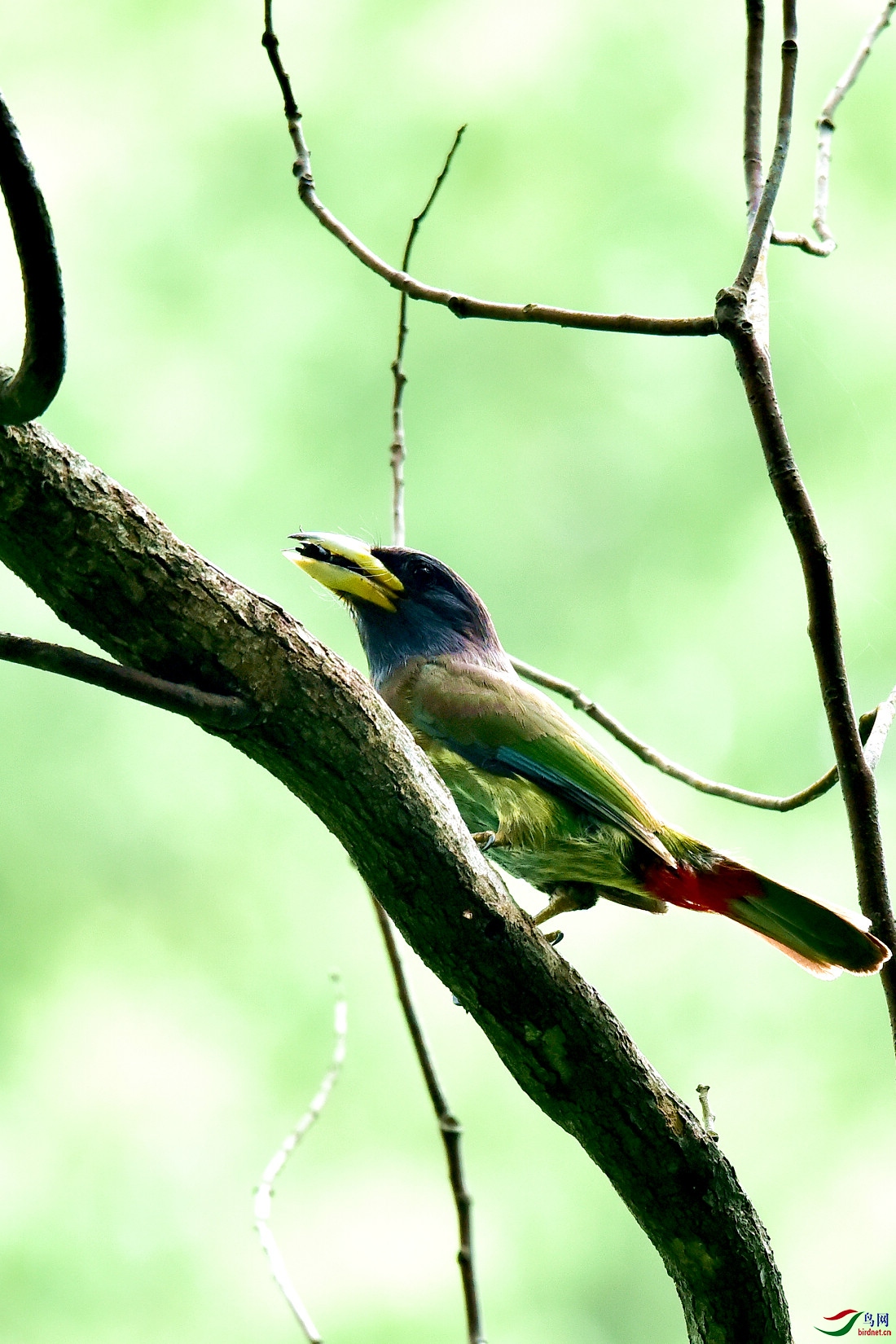 DSC_0367.JPG