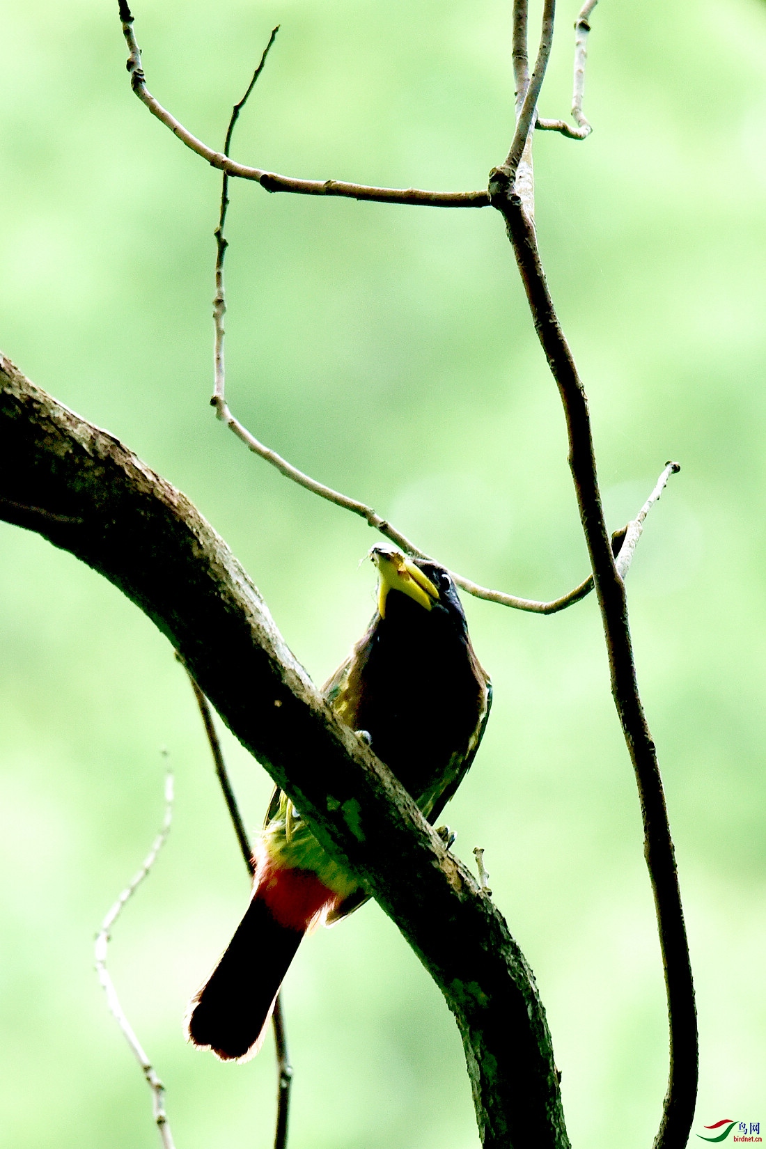 DSC_0369.JPG