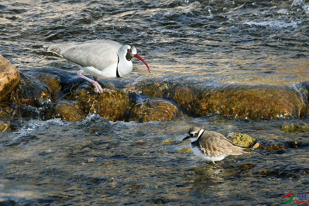 nEO_IMG_DSC_7375���� (2).jpg