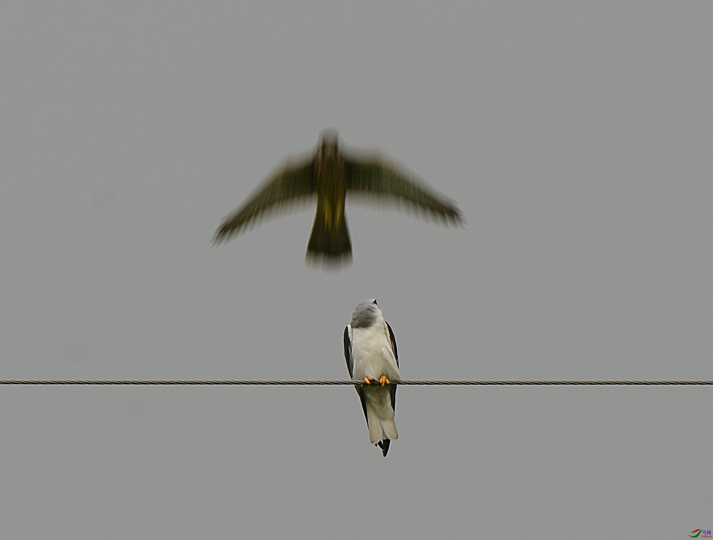 DSC_0461.jpg