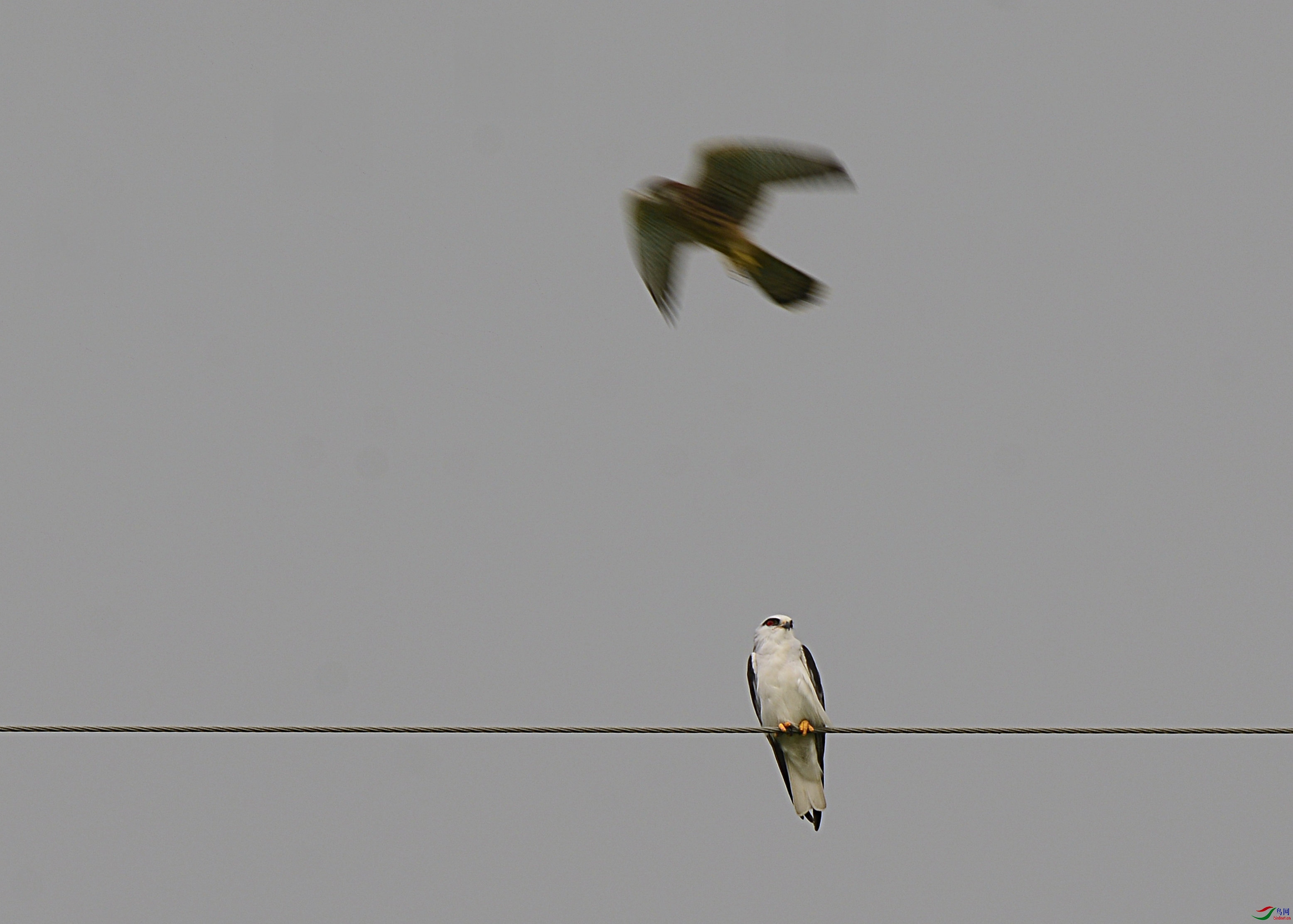 DSC_0464.jpg