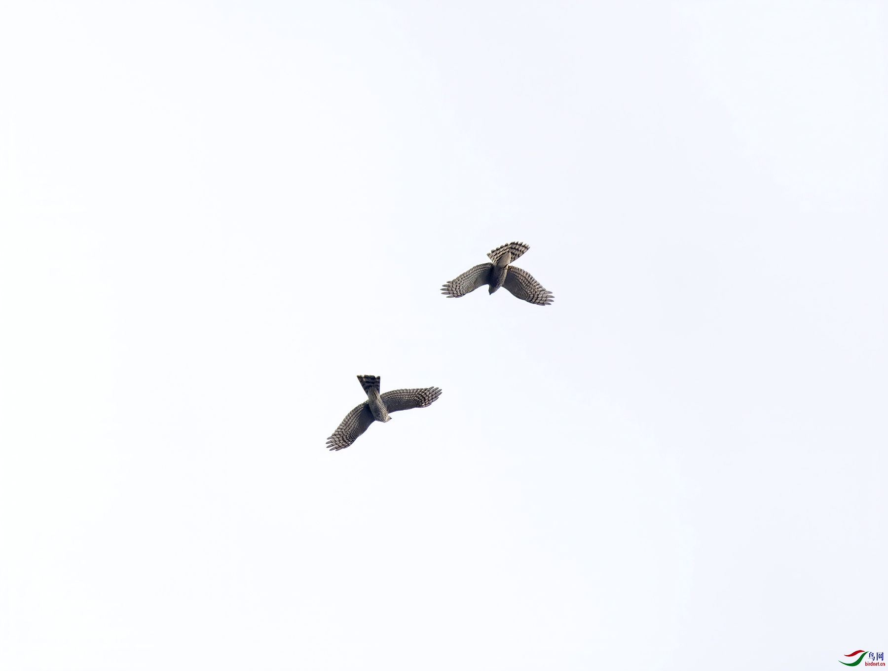 DSC_5828.jpg