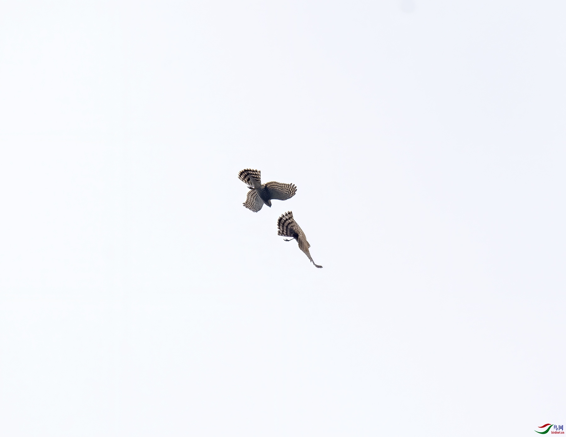 DSC_5830.jpg