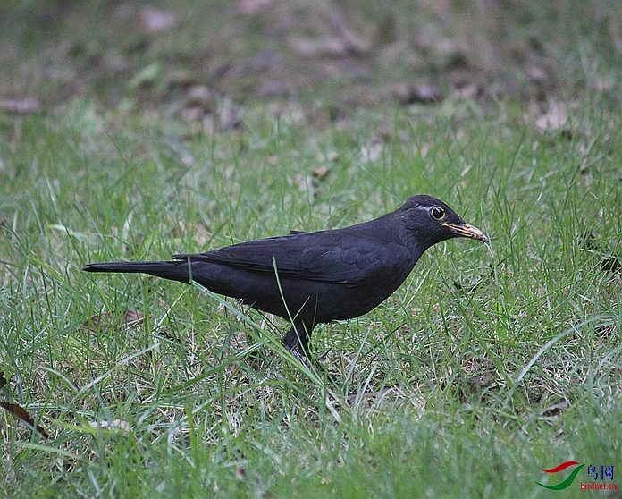 IMG_0031.JPG